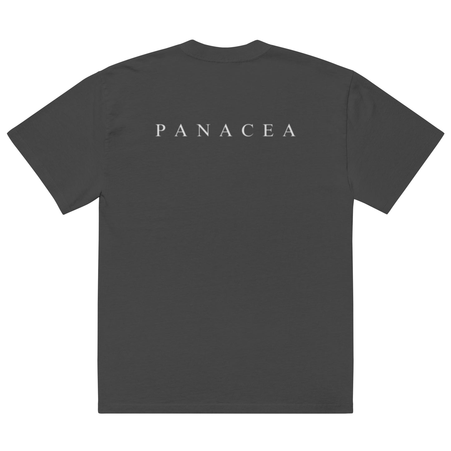 PANACEA Oversized Faded T-Shirt